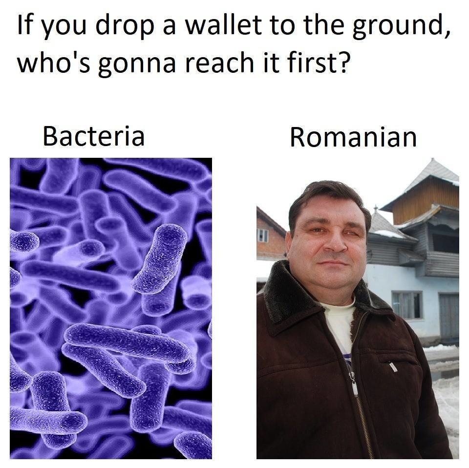 Le Romanian - meme