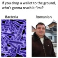 Le Romanian