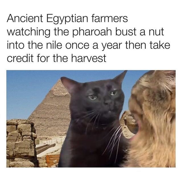 Ancient Egypt - meme