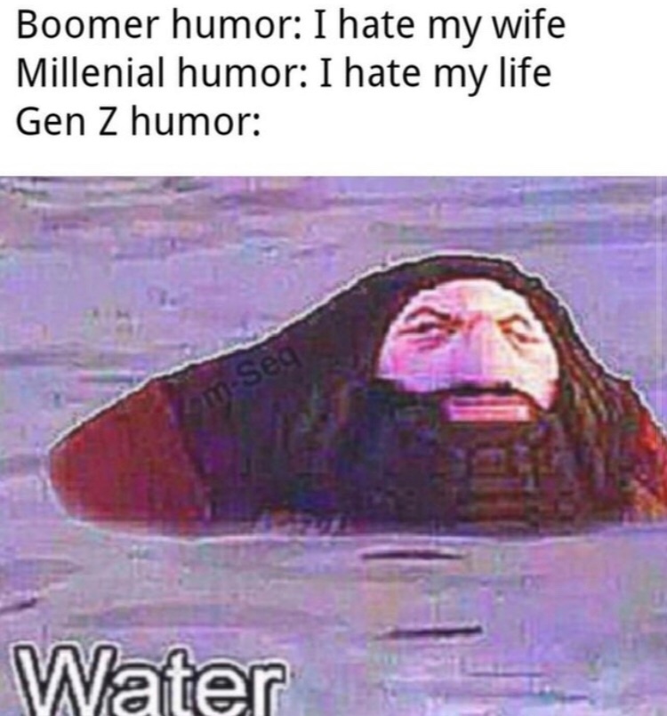 H2O - meme