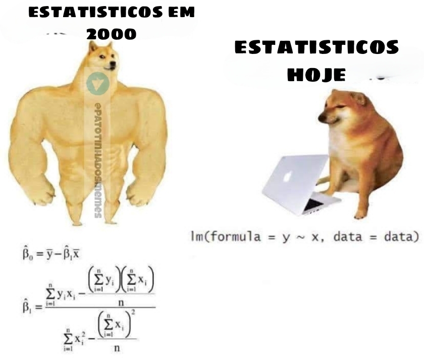 Meme estatisticos