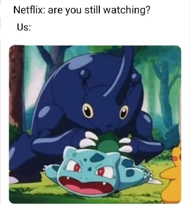 Netflix: Are you still watching? - meme
