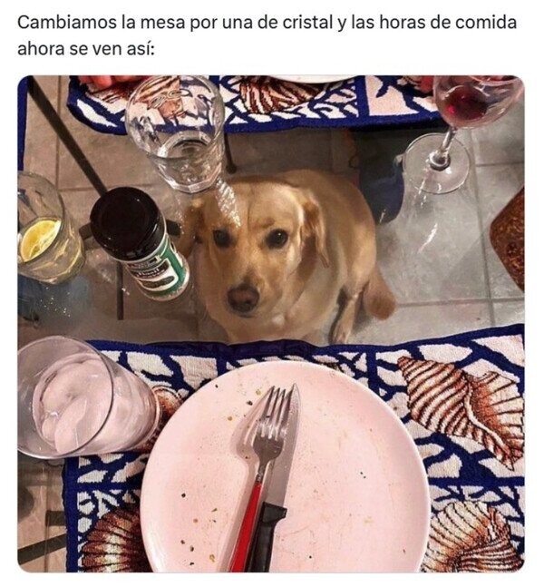 Mesa de comedor de cristal cuando tienes perro - meme