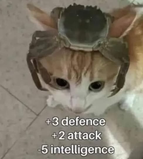 +3 defensa, 42 ataque y 5 de inteligencia, lo básico pa sobrevivir - meme