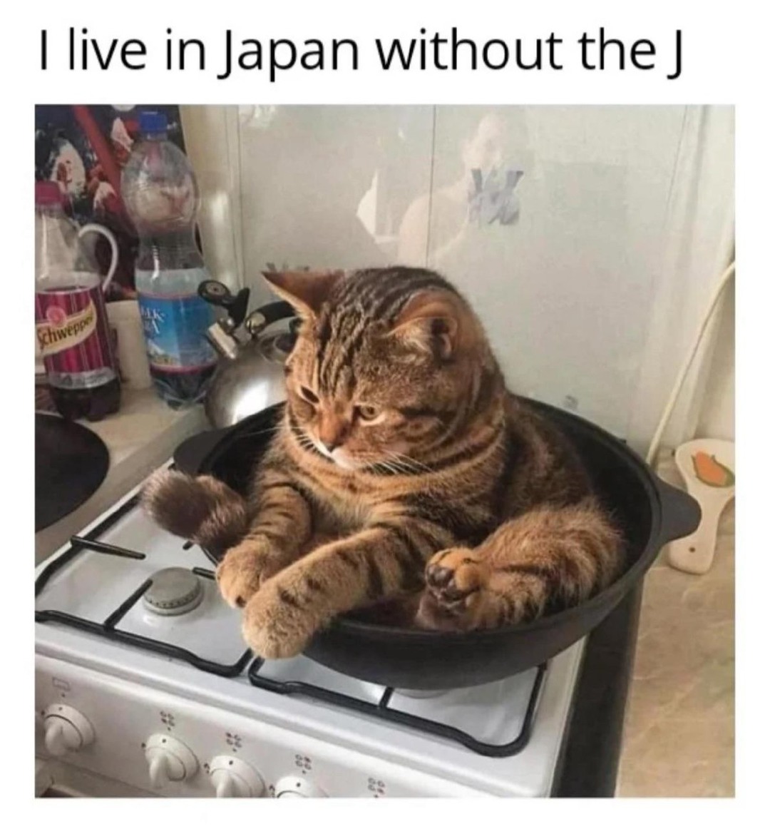 Living in Japan without subtitles is wild - meme
