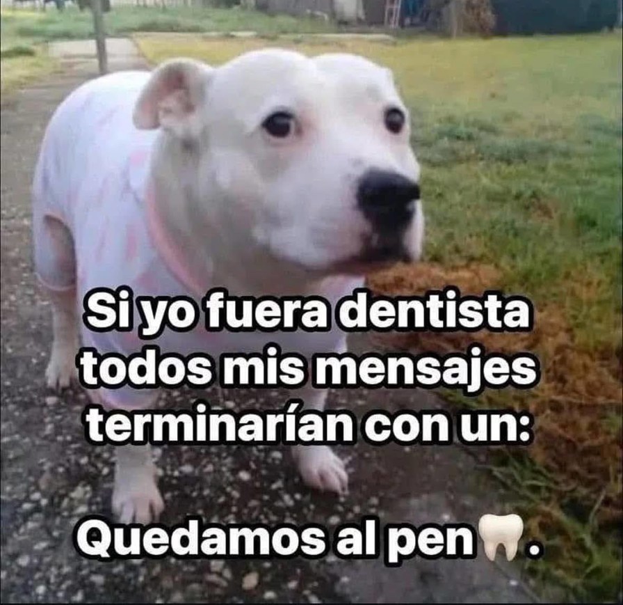 todos mis mensajes acabarían con quedamos al pen siyo fuera dentista - meme