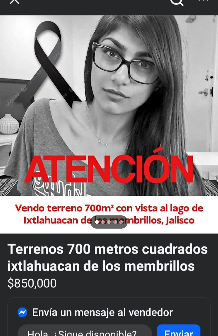 El autor es puto - meme