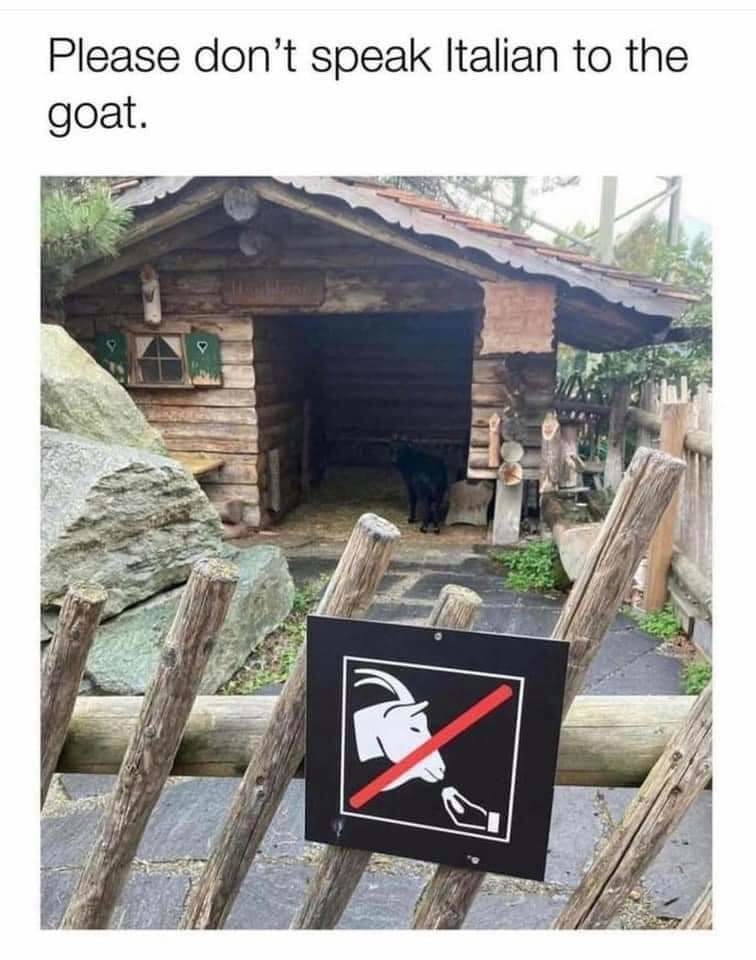 The goat.... - meme