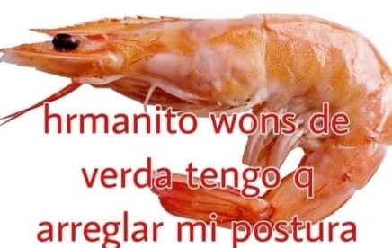 Hermano tengo que arreglar mi postura ya - meme