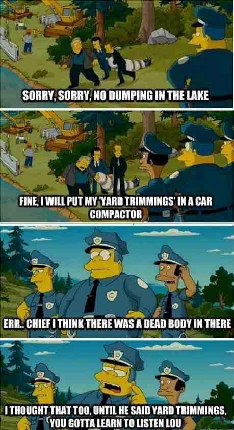 Remember this from the simpsons movie - meme