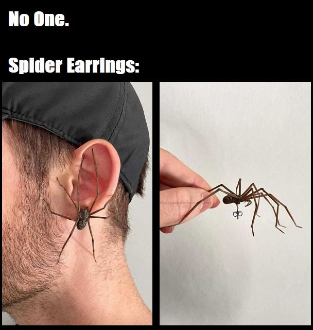 Earring for Spiderman - meme