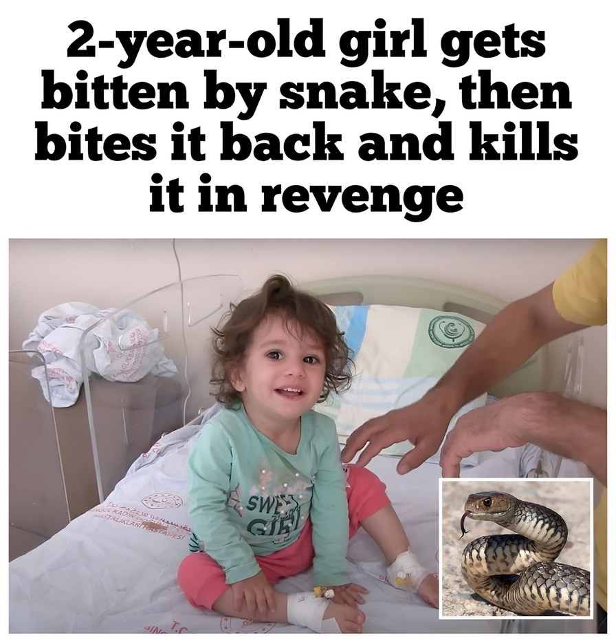 Two years old toddler bites snake back - meme