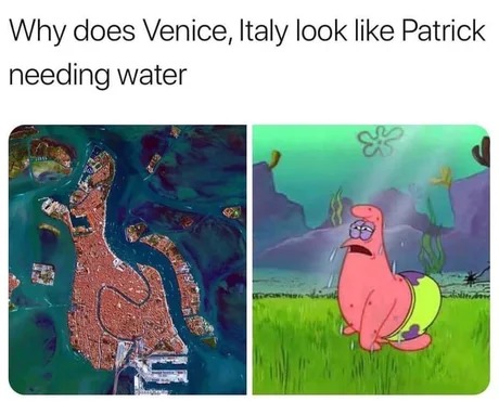 Venice is Patrick - meme