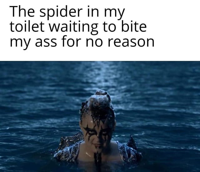 Spider waiting - meme