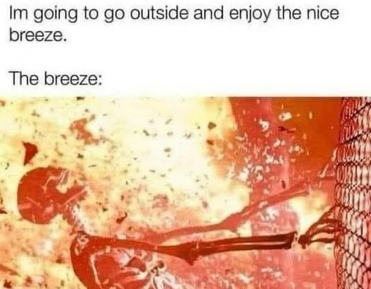 I thought this was a piece of pizza - meme