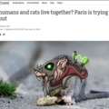 commented item thumbnail