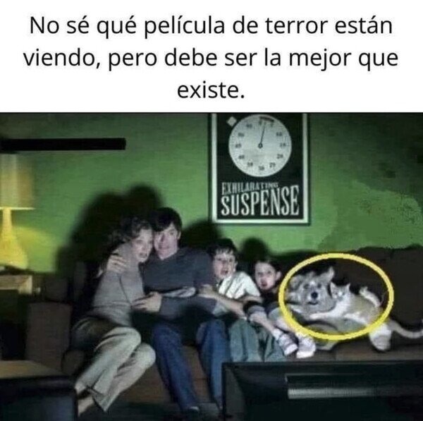 Pelicula de terror para toda la familia - meme