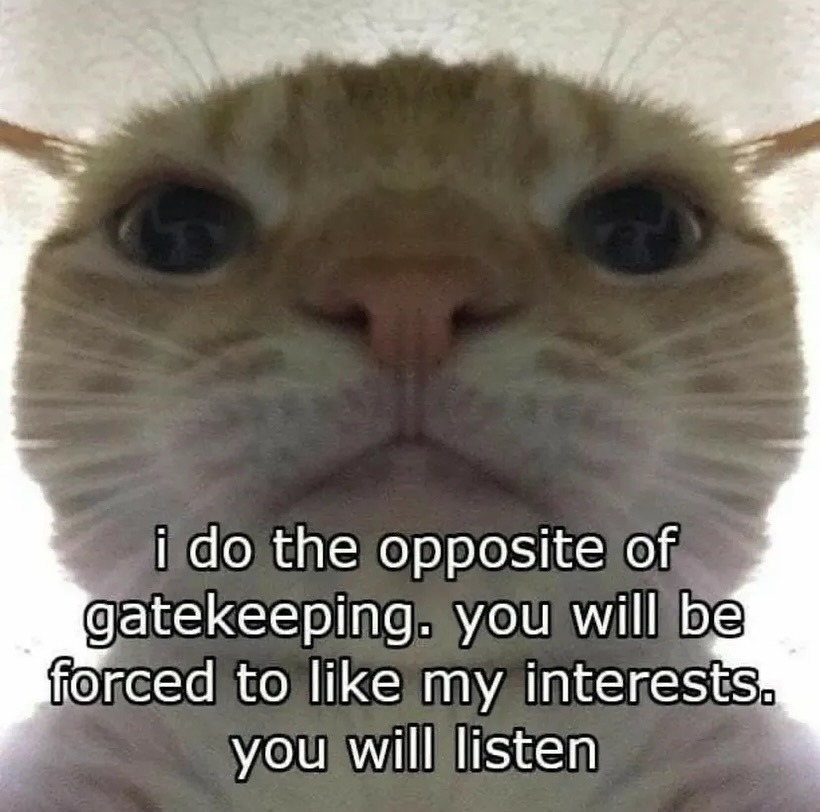 I don’t gatekeep. You will like my obsessions and that’s final - meme