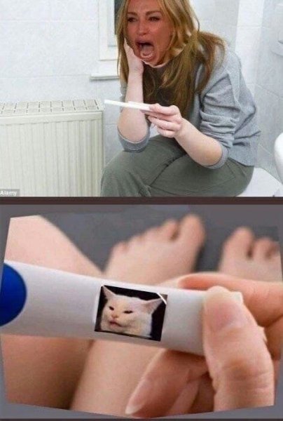 Karen and the Cat - meme