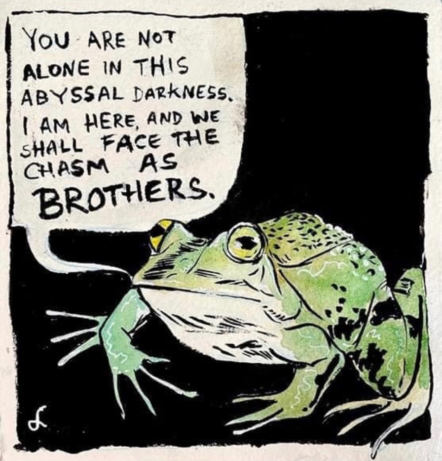 frogg - meme