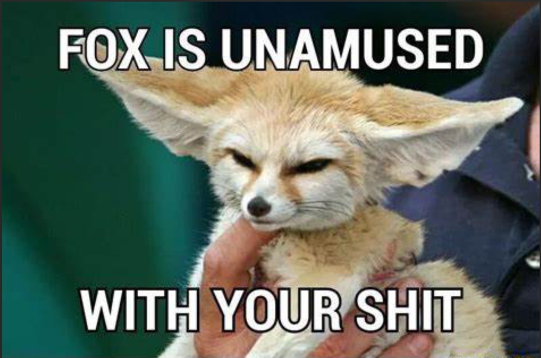 Fox - meme