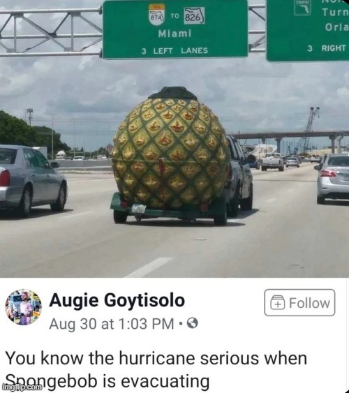 SpongeBob is evacuating - meme