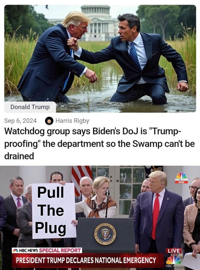 Defund The Government - meme