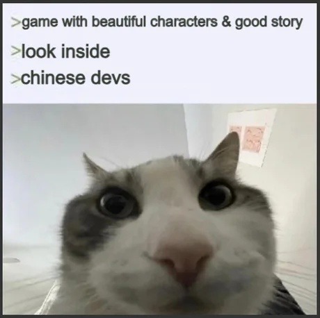 Chinese devs: gorgeous characters, tragic plot - meme
