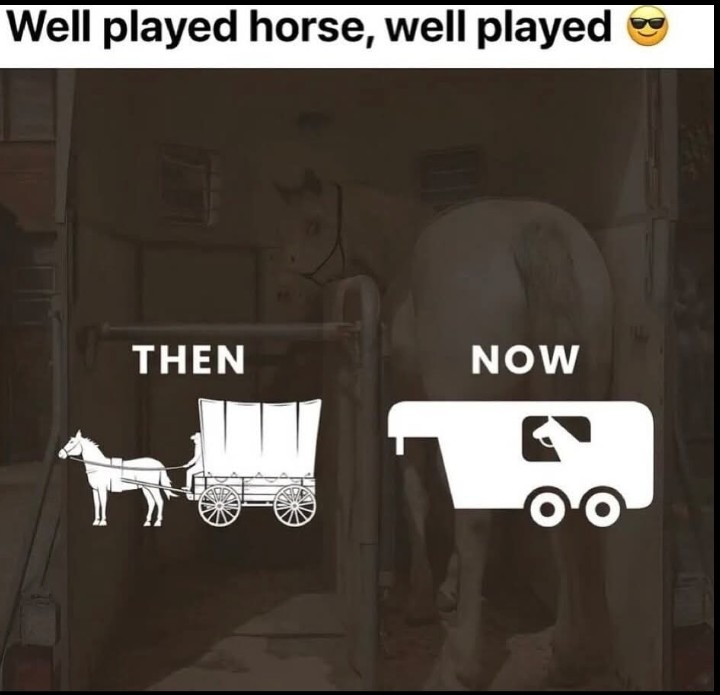 ﻿Well played horse, well played THEN NOW