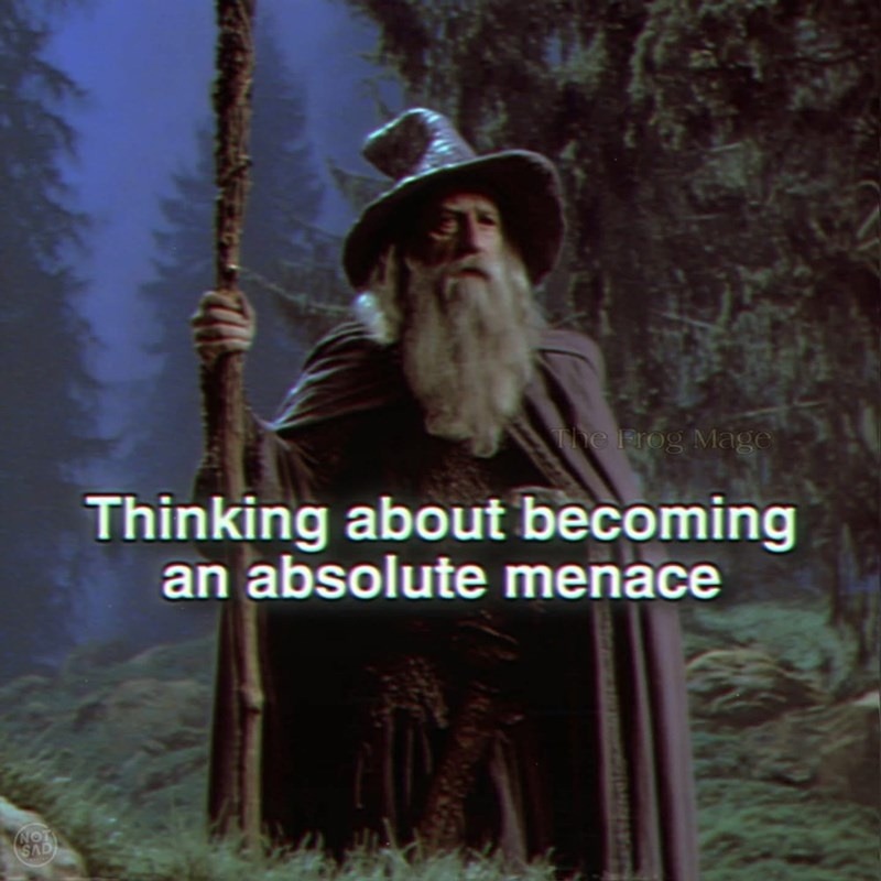 Frog Mage contemplating villain arc - meme