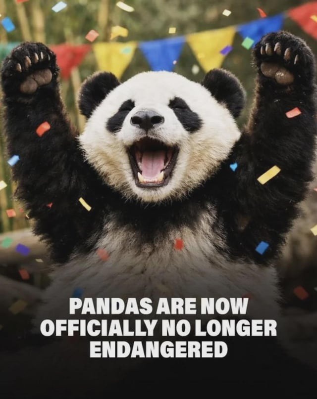 Pandas no longer endangered, let's gooo - meme