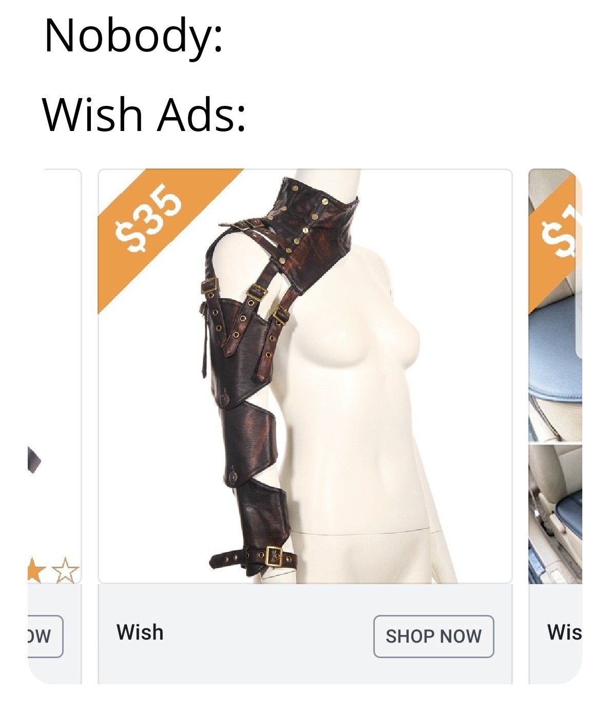 Anybody actually ever use Wish? I haven't seen anything worth buying there - meme