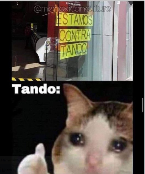 Pobre Tando ;v - meme