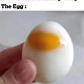 Among Eggs