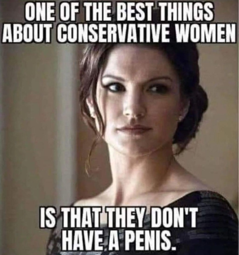 I like my conservative wife - meme