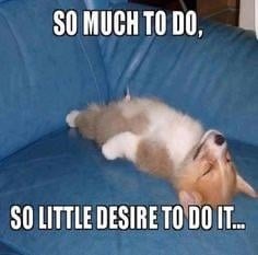 so much to do, zero soul to do it - meme
