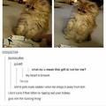 Poor kitten
