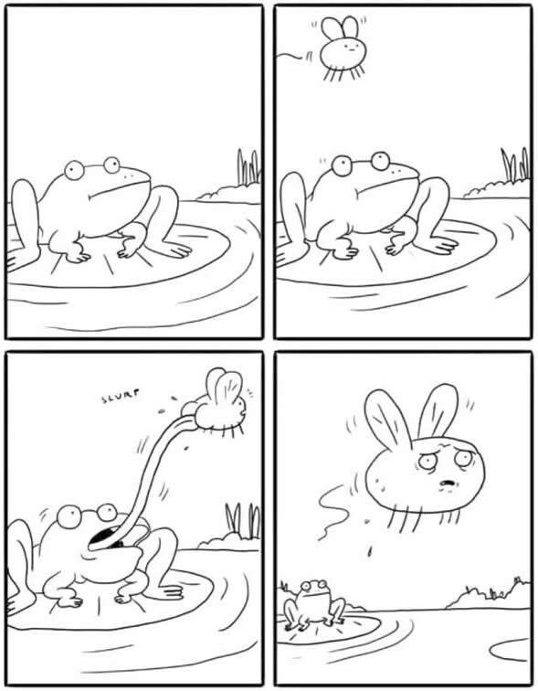 Ahh those frogs - meme