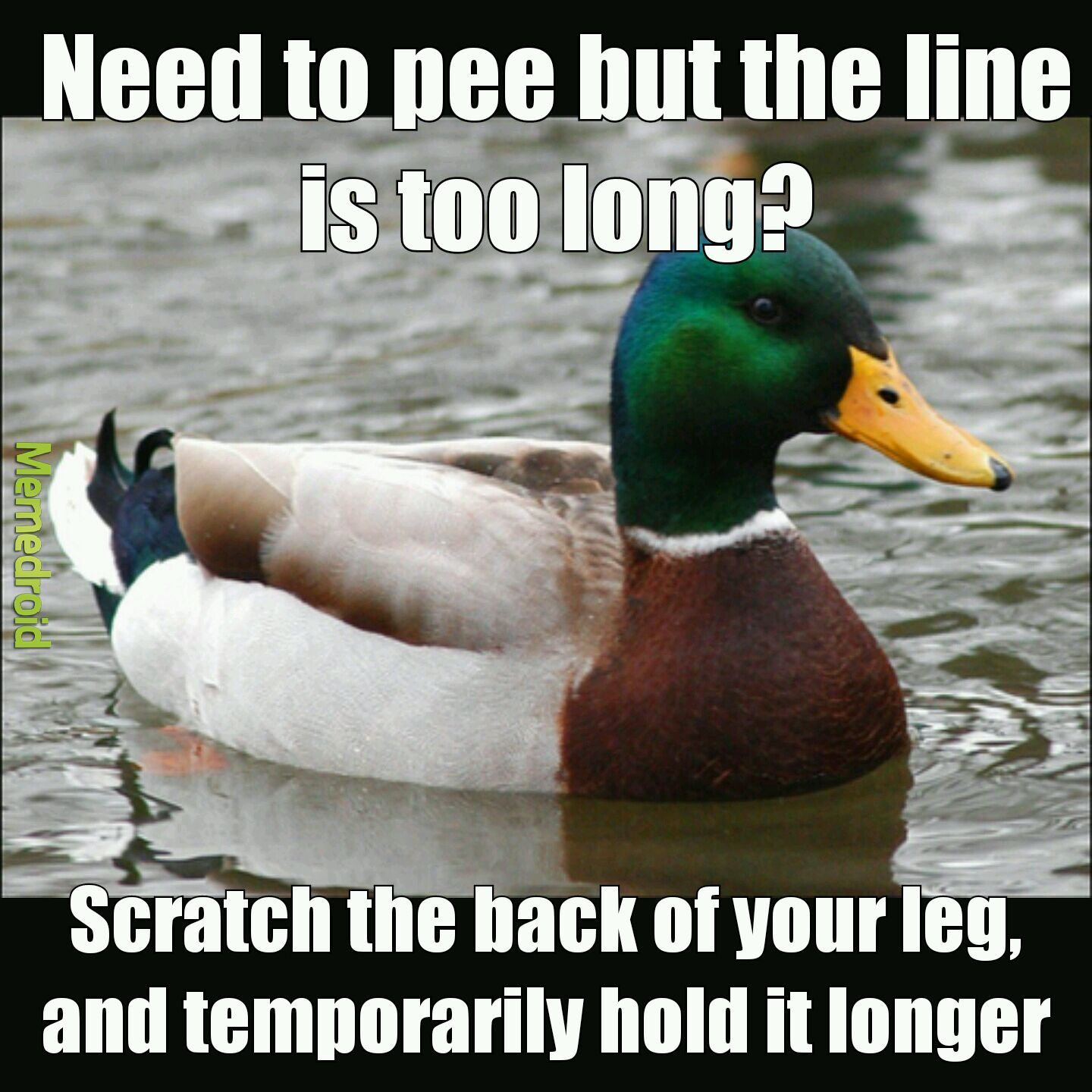 Helpful for busy restrooms - meme