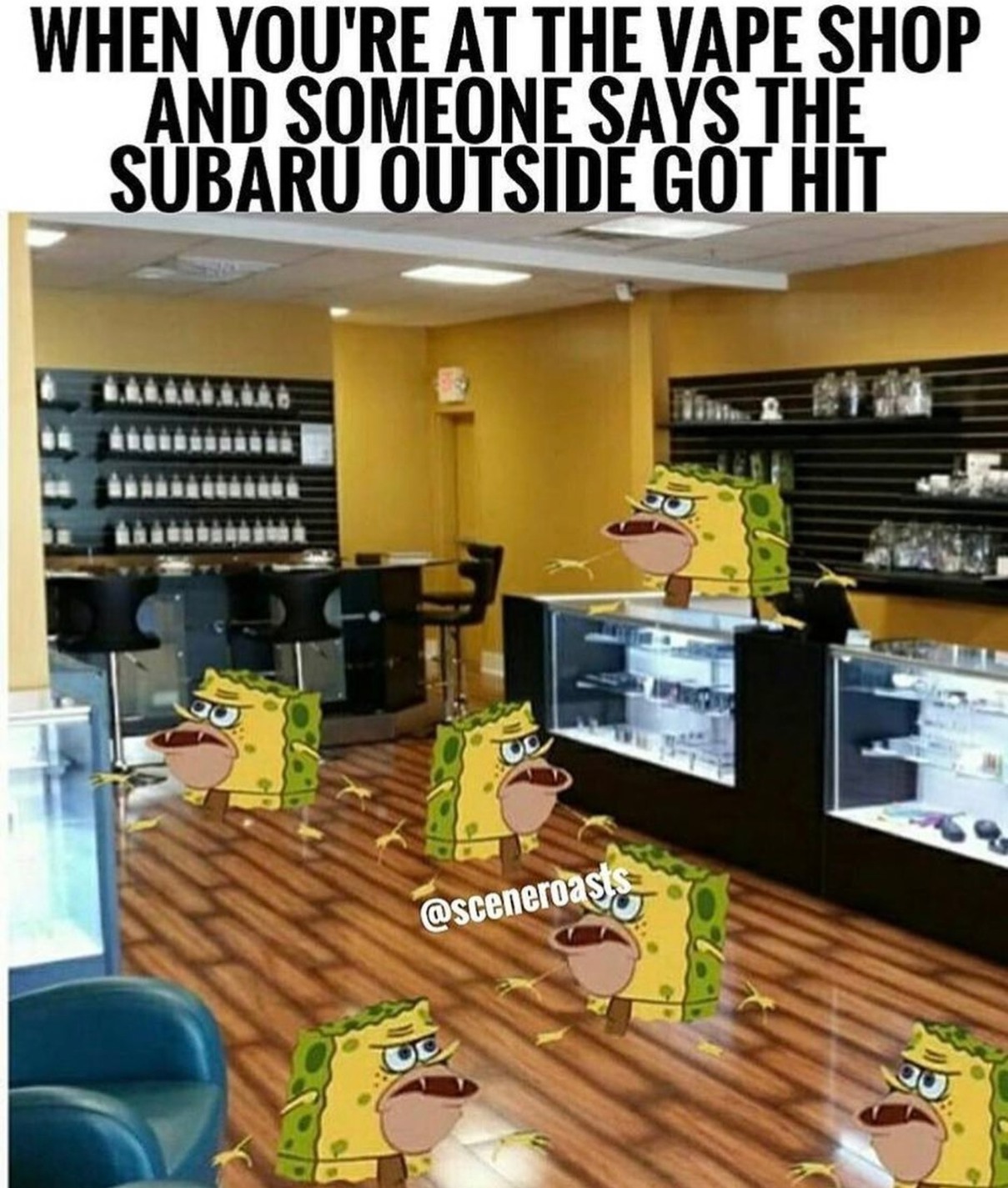 Any Subaru owners out there? - meme