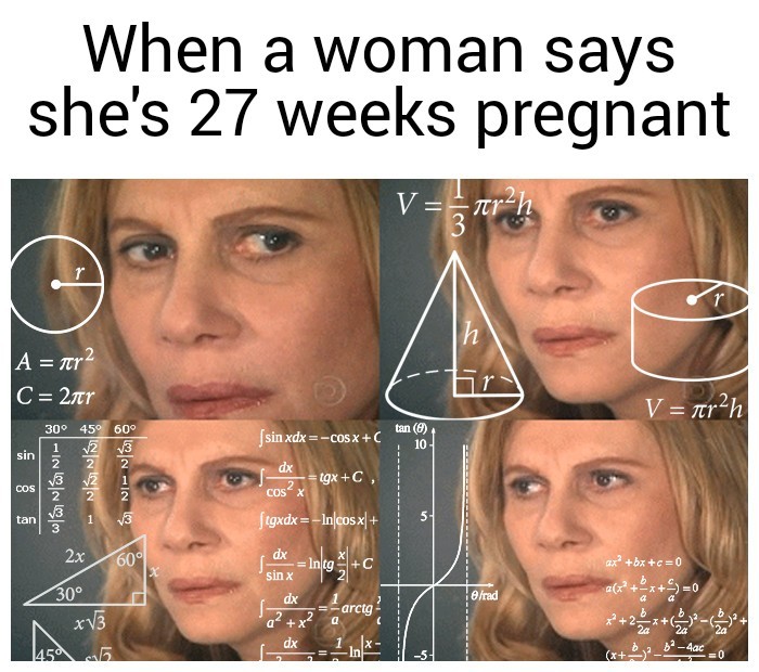 The math lady - meme