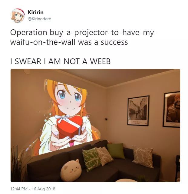 Totally not a weeb - meme