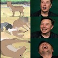 Elon likes dead deer