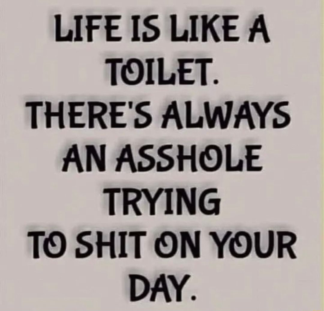 life is like a toilet - meme