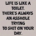 life is like a toilet