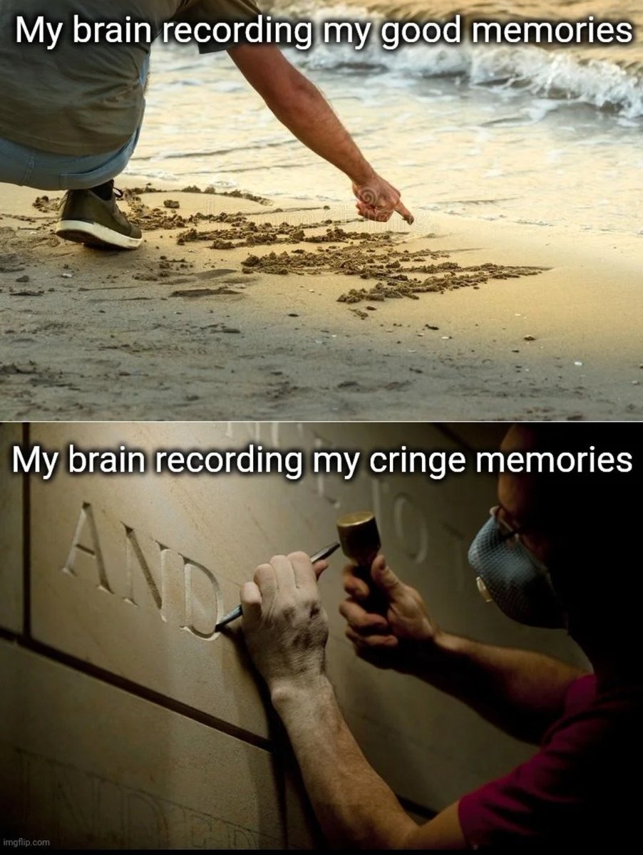 Good and cringe memories, how they are recorded by my brain. - meme