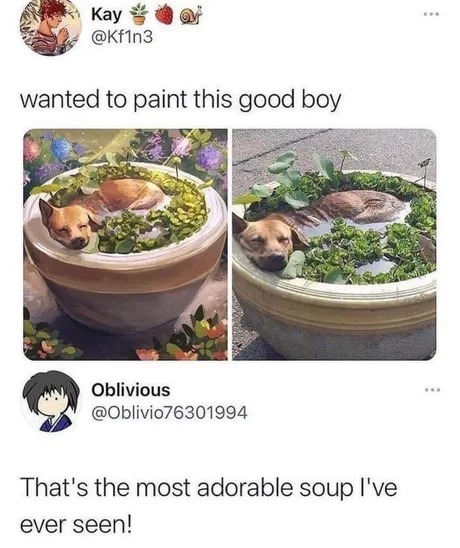 Dog soup - meme