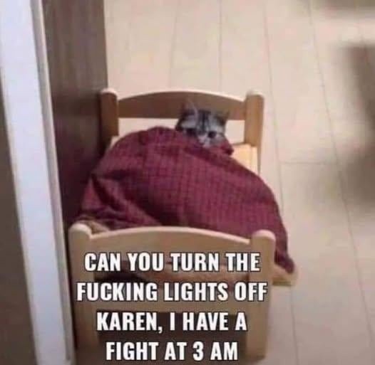 Fighting at 3AM like it's a boss battle - meme