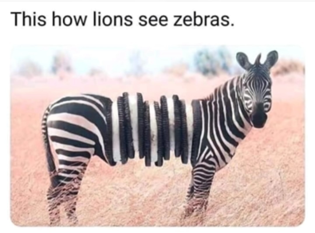 If a zebra is like this I will eat it whole #wildlifeconservation - meme