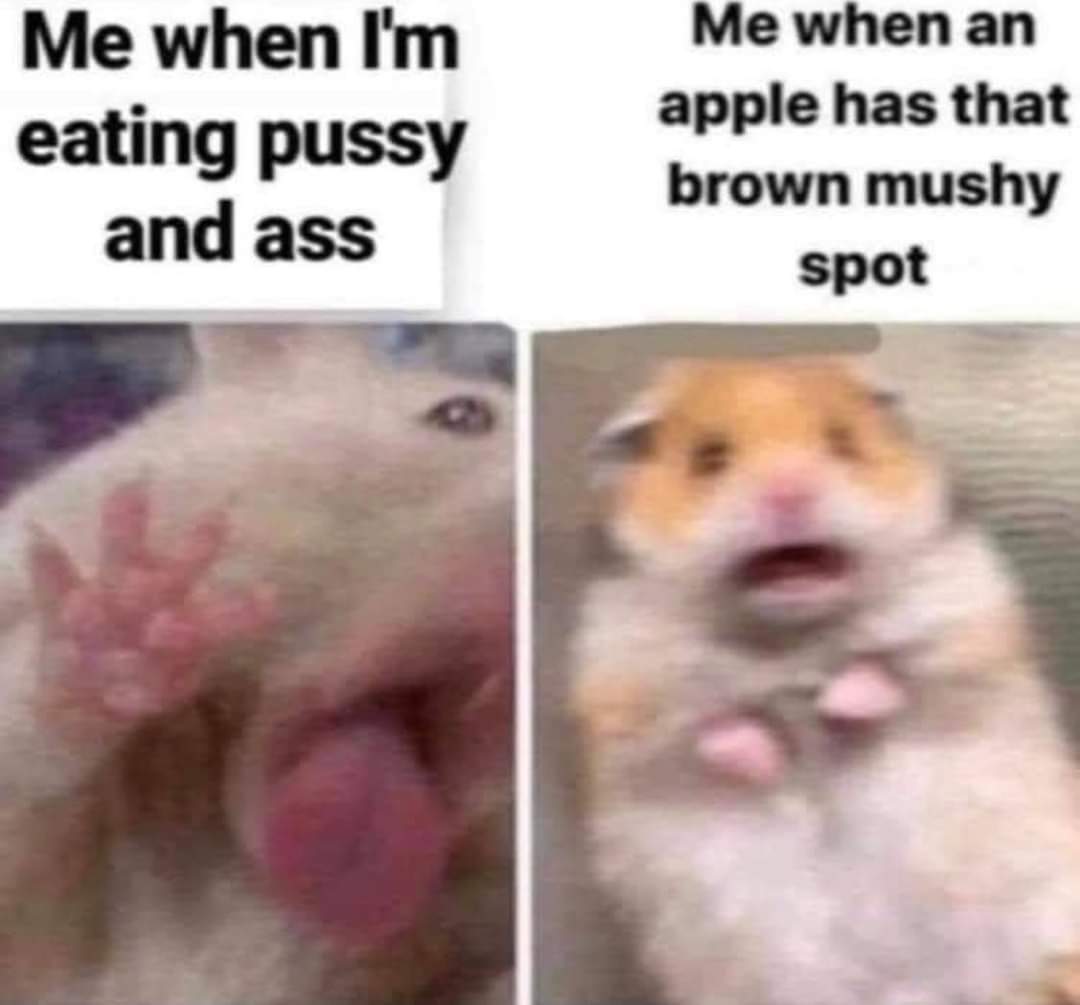 Fun fact: butt holes are usually brown mushy spots - meme